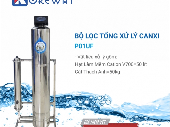 BỘ LỌC TỔNG  INOX 304XỬ LÝ CANXY PO1UF